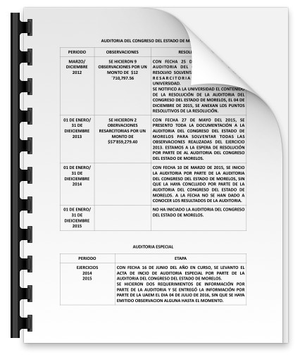 Resumen de auditorías