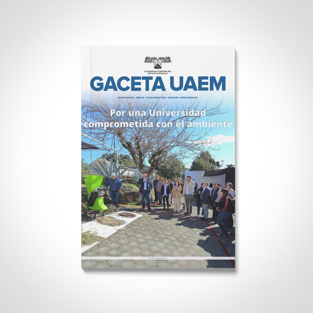 Gaceta No. 538