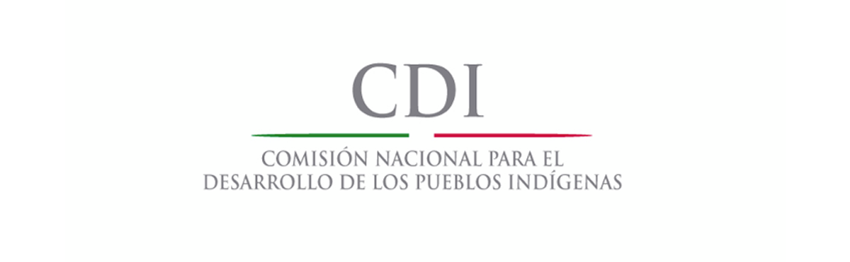 Becas de la Comisión Nacional de los Pueblos Indígenas