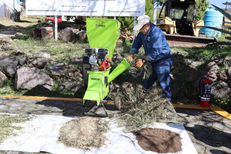 Inauguran autoridades universitarias la Campaña de Acopio de Árboles de Navidad 2025