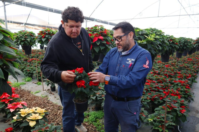 Imagen slider agenda