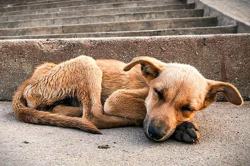 Imagen slider agenda