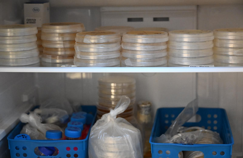 Imagen slider agenda