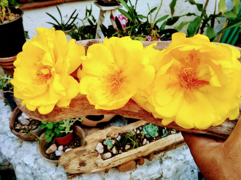 Imagen slider agenda