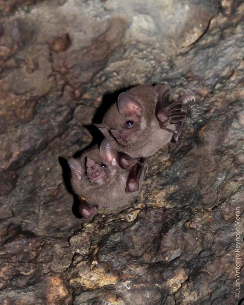 Imagen slider agenda