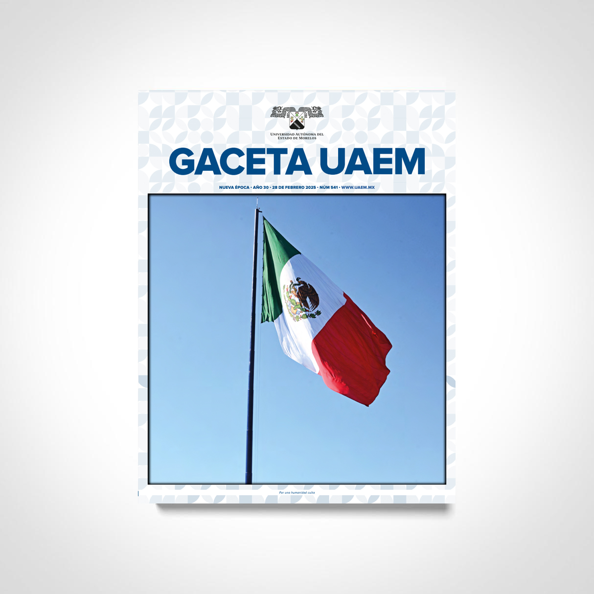 Gaceta No. 541