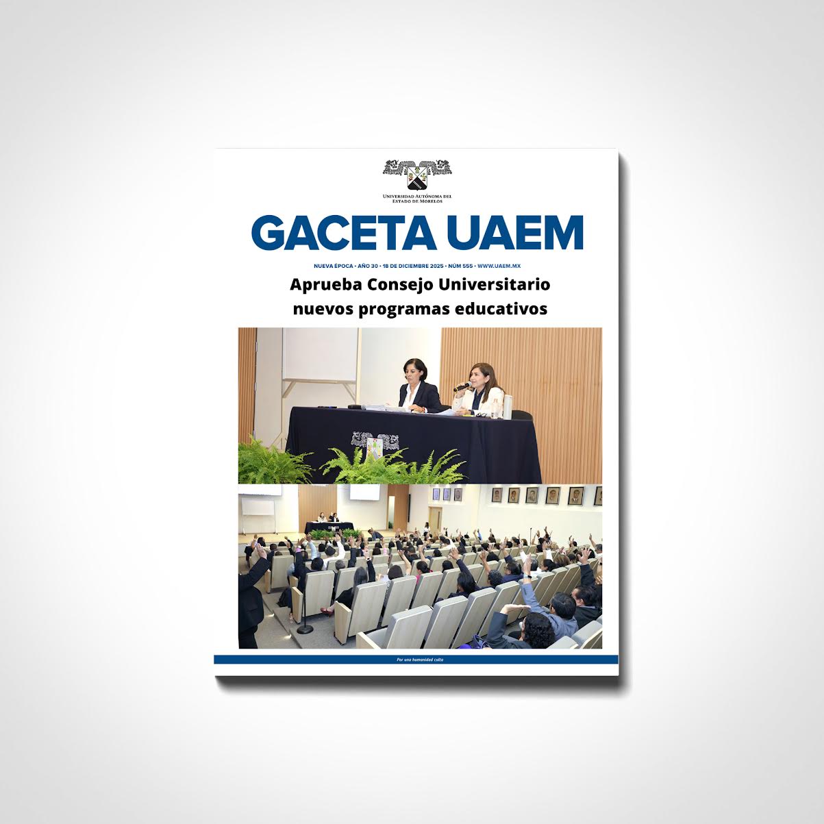Gaceta No. 555