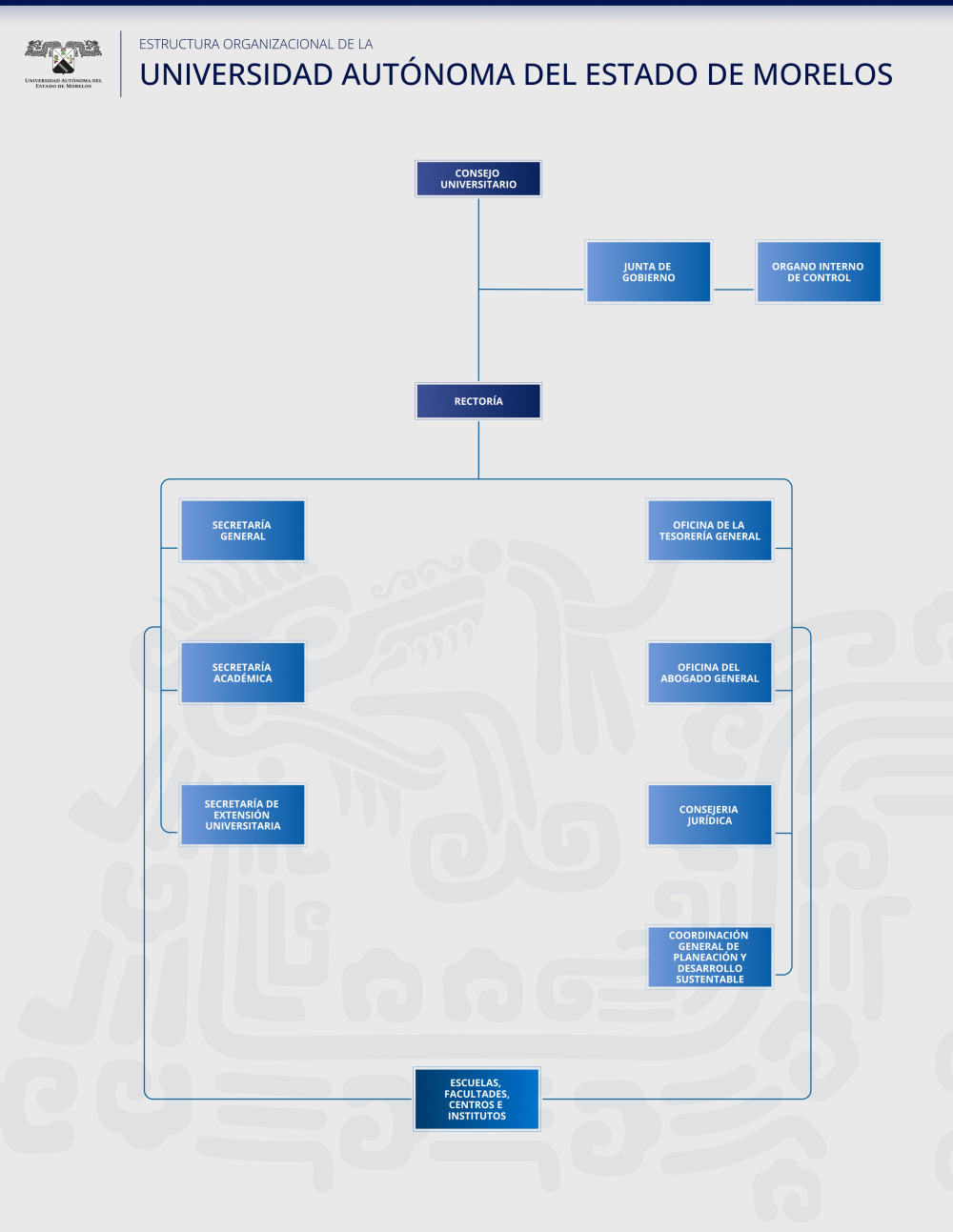 Estructura organizacional UAEM