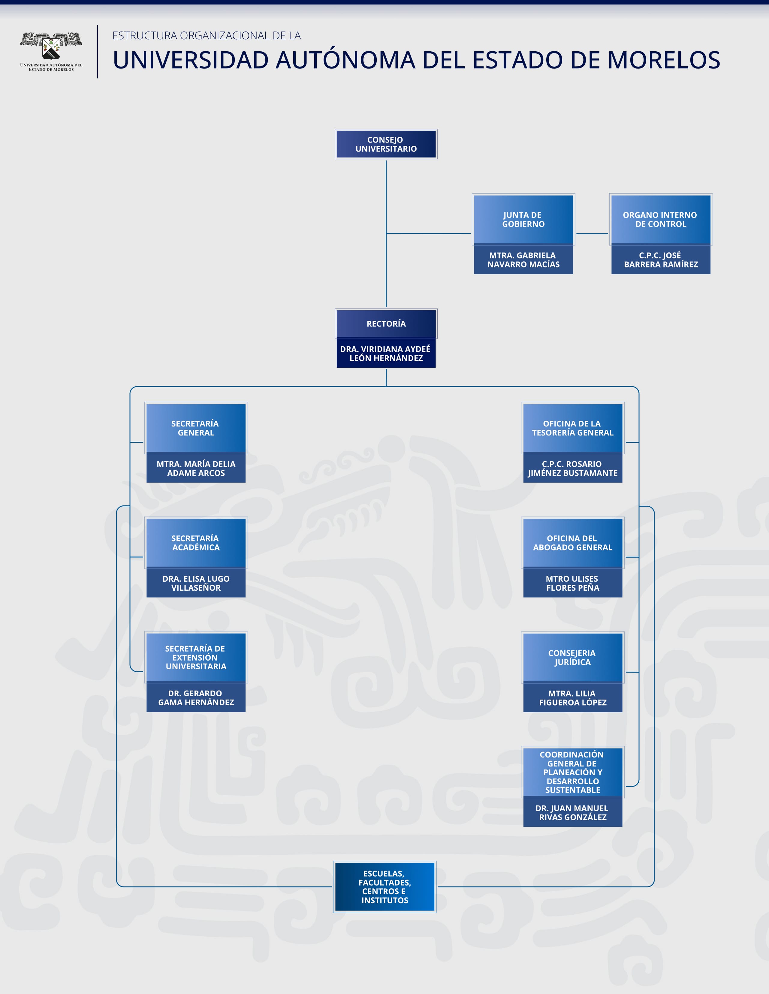 Estructura organizacional UAEM