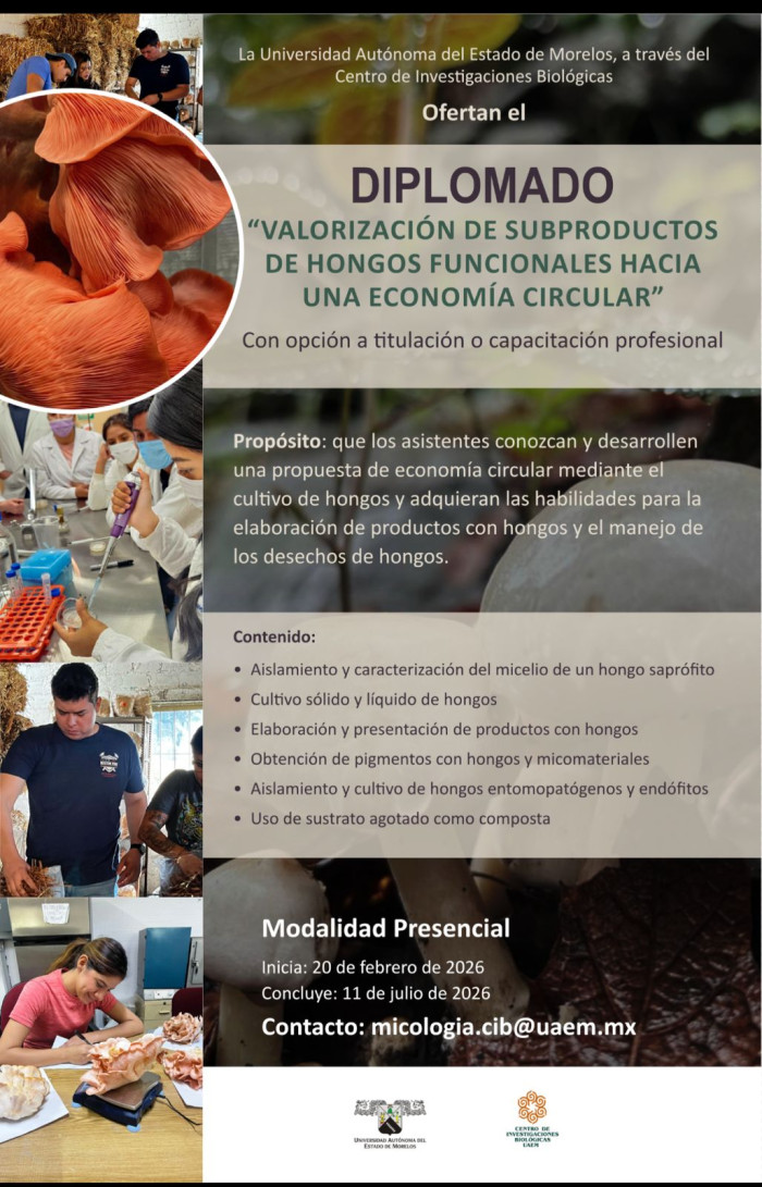 Imagen slider agenda