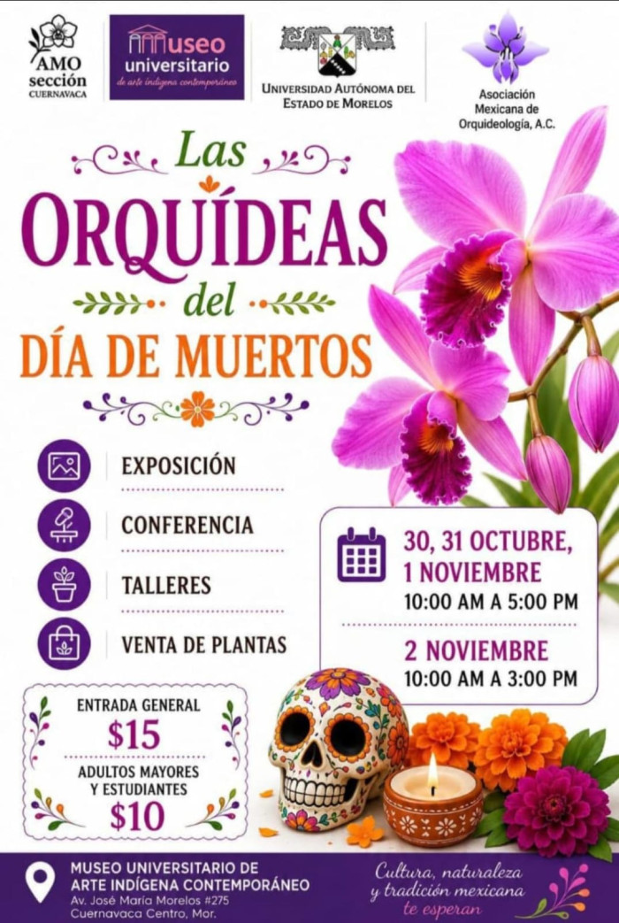 Imagen slider agenda